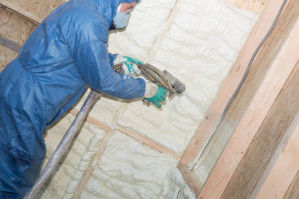 Best Soundproof Insulation  in El Dorado Springs, MO